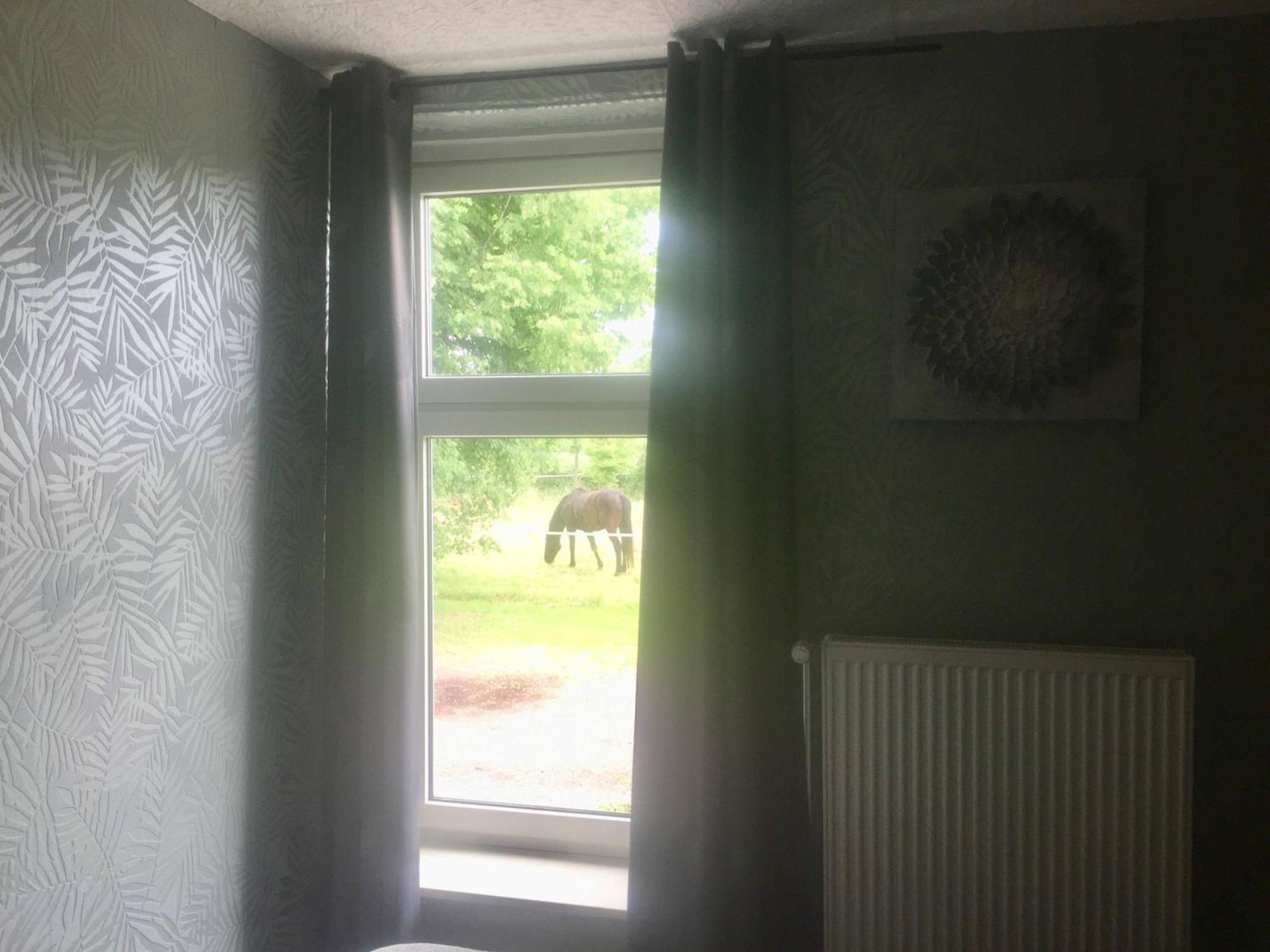 Steinhaus Hof Villa Bunde  Bagian luar foto