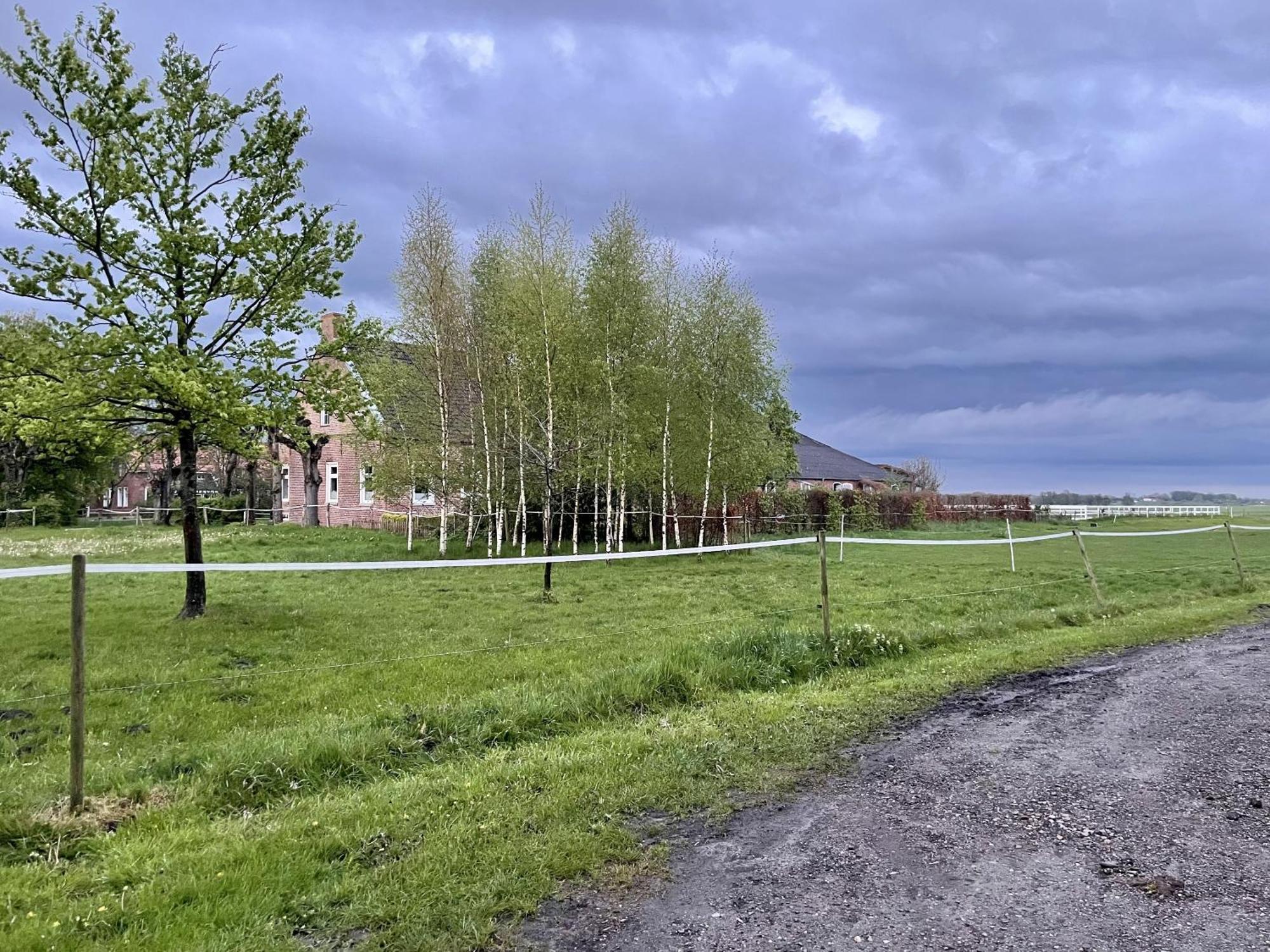 Steinhaus Hof Villa Bunde  Bagian luar foto