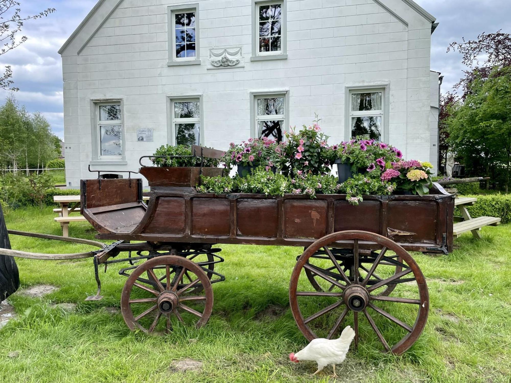 Steinhaus Hof Villa Bunde  Bagian luar foto